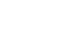 The Nesmith Firm, PLLC